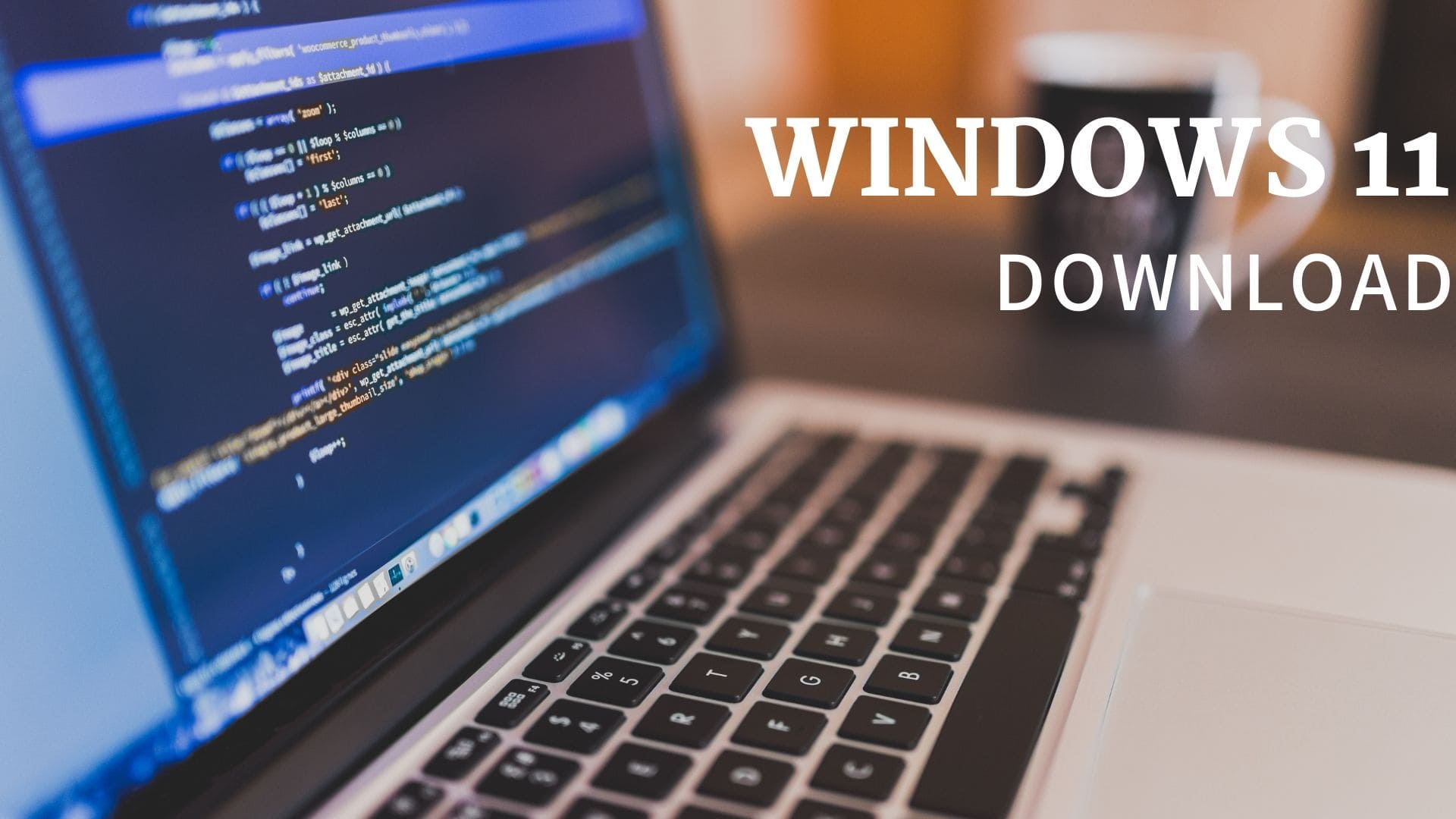 download windows 11