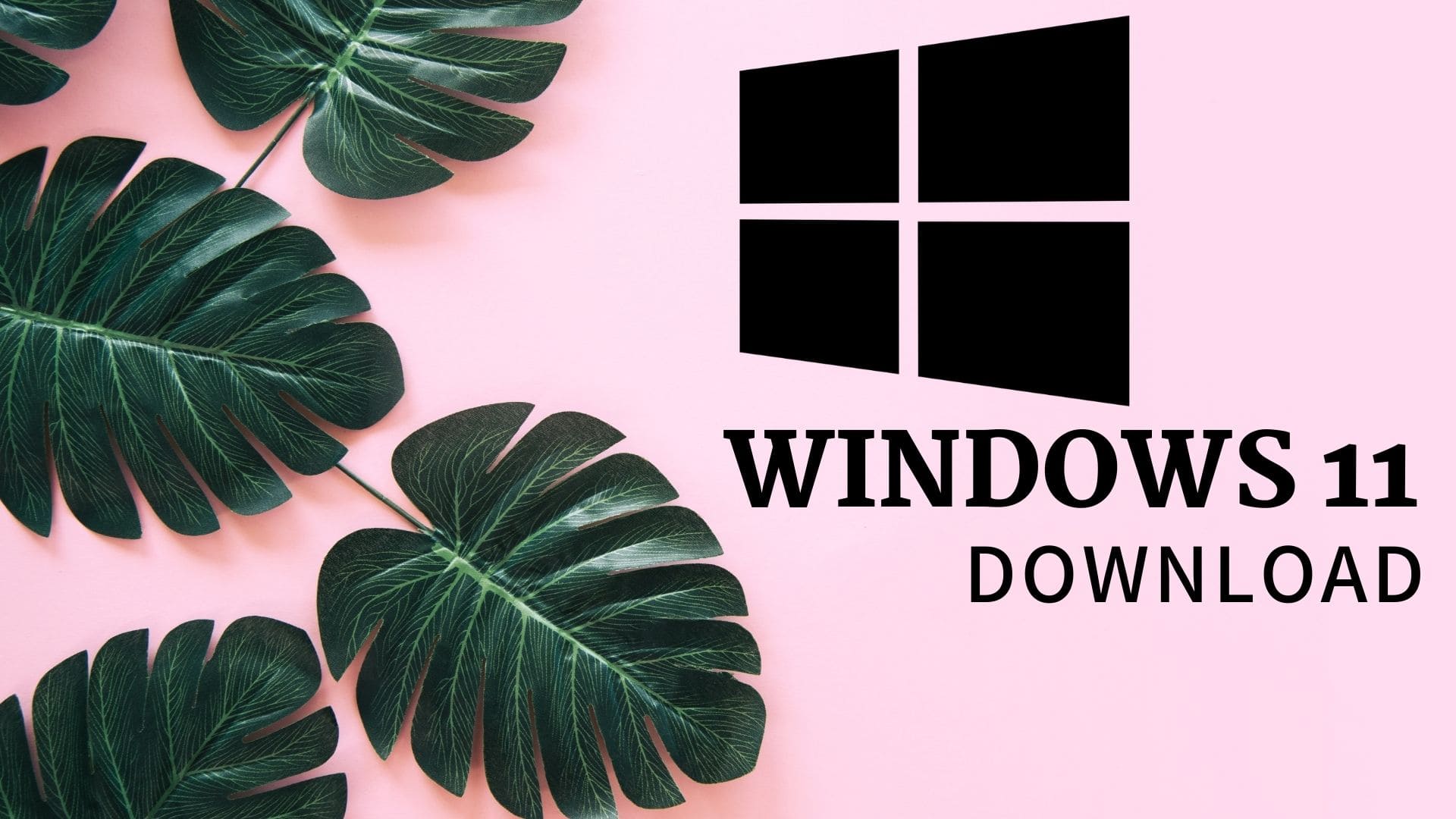 windows 11 release date?